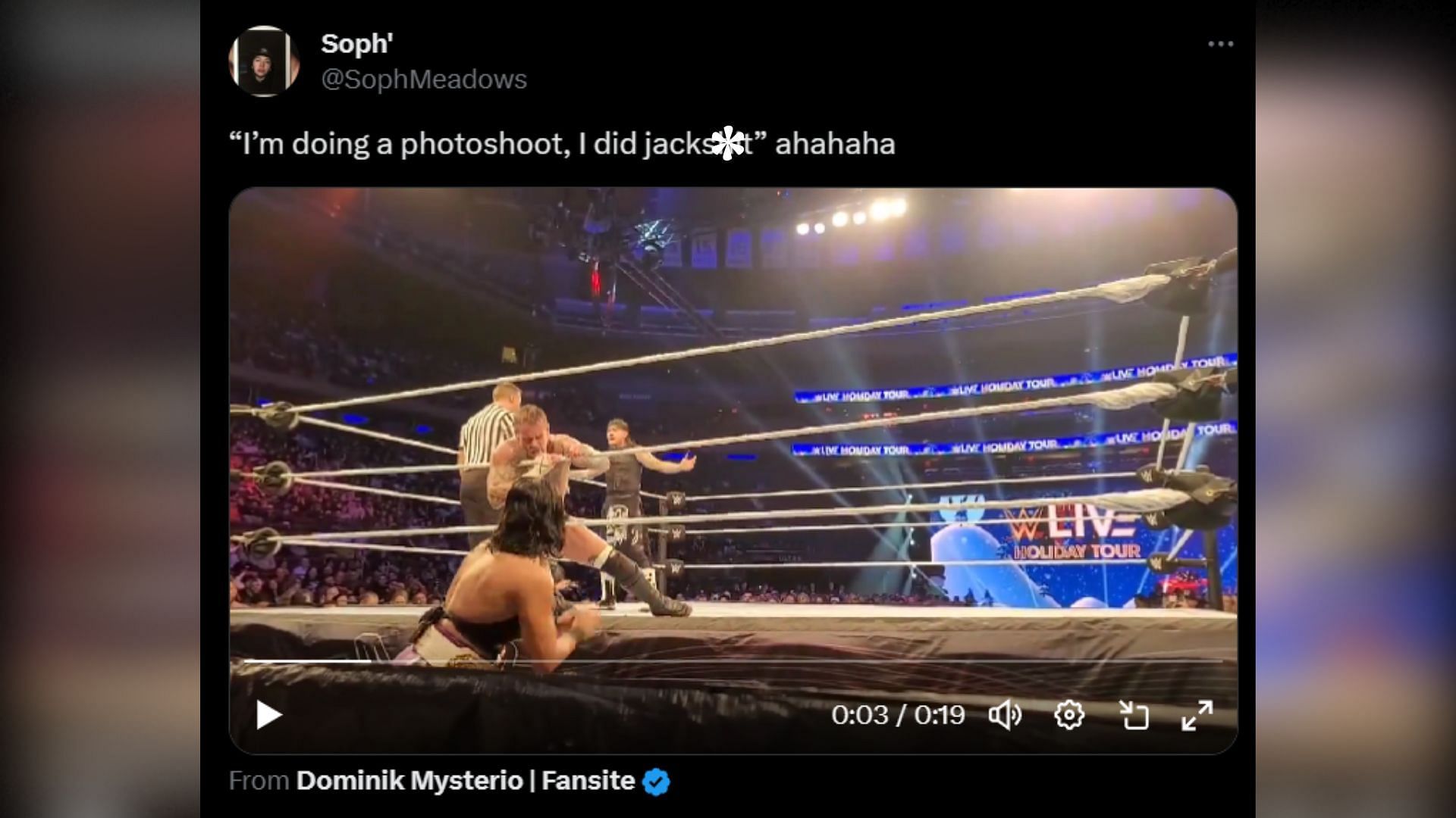 Screenshot of a censored fan tweet in which Rhea Ripley punched CM Punk.